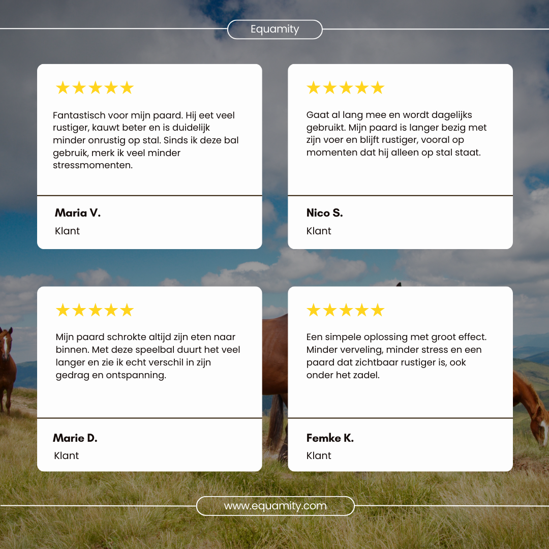 Equamity Slow Feeder Speelbal