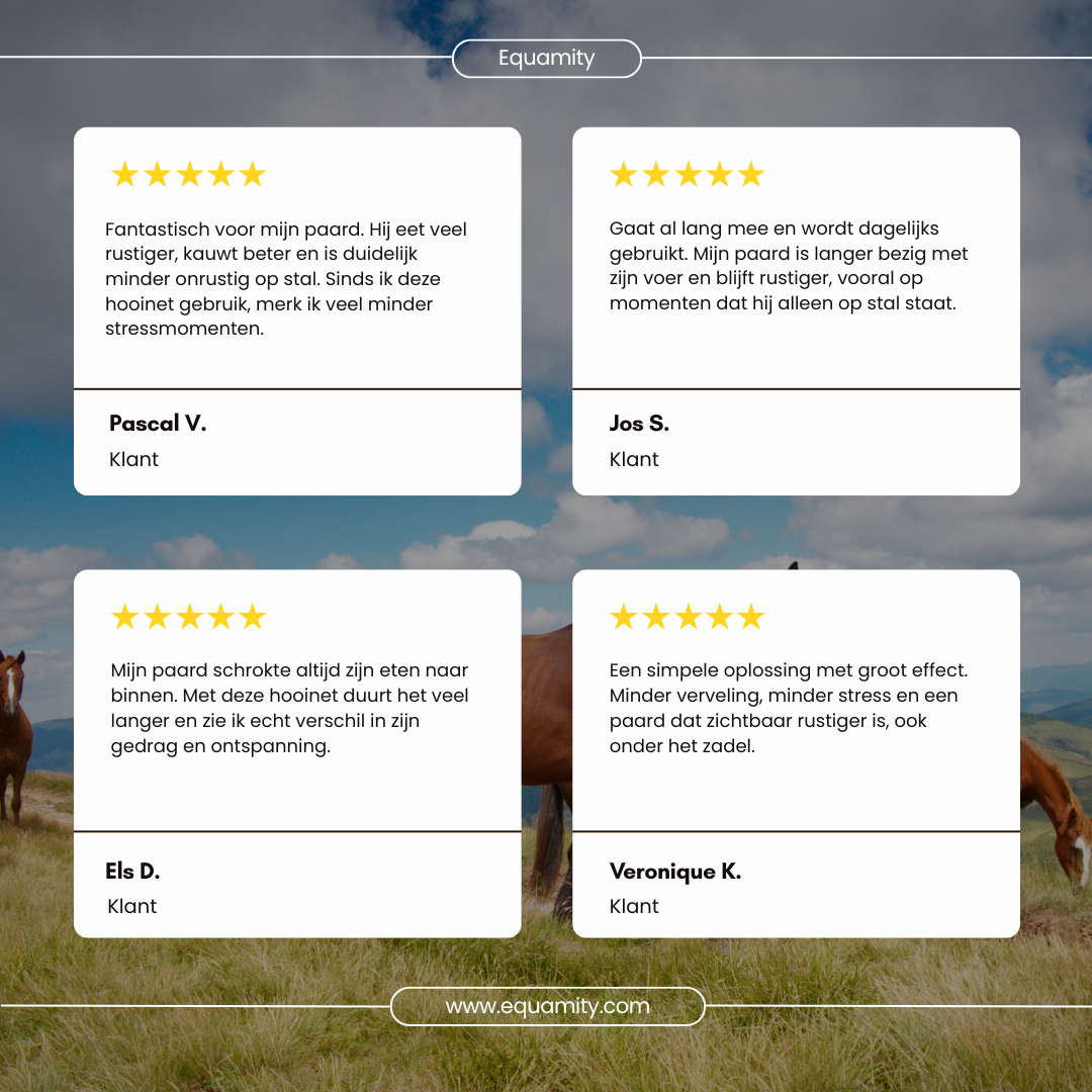 Equamity Slow Feeder Haynet