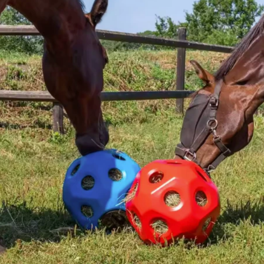 Equamity Slow Feeder Speelbal