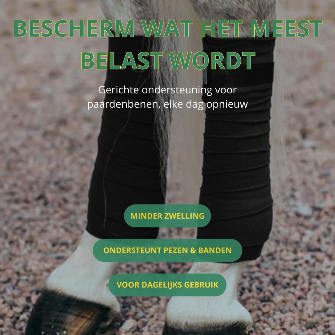 Equamity Bandage Set