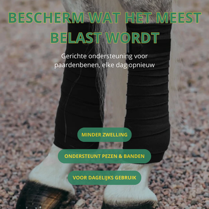 Equamity Bandage Set