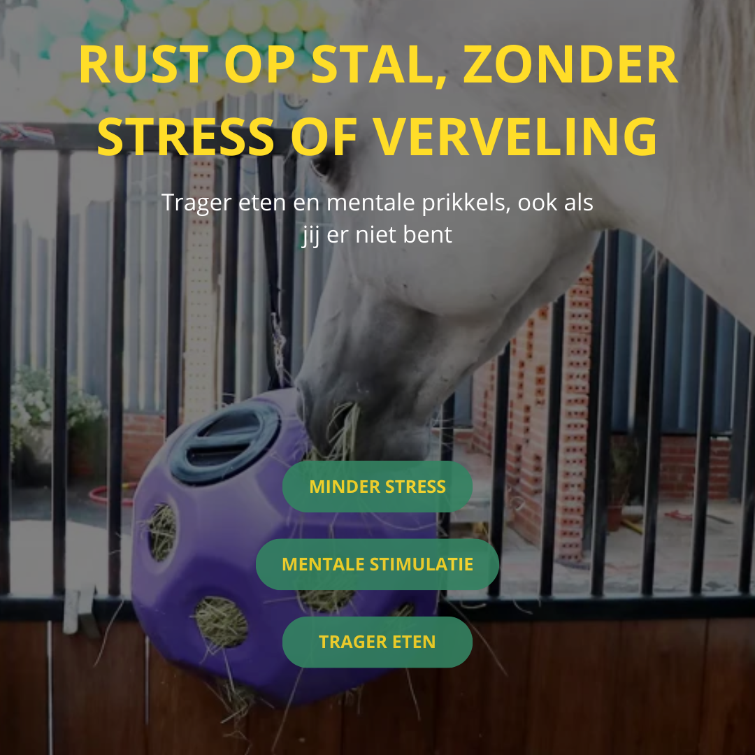 Equamity Slow Feeder Speelbal