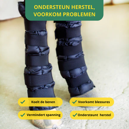 Equamity Cooling Recovery Beenbeschermers