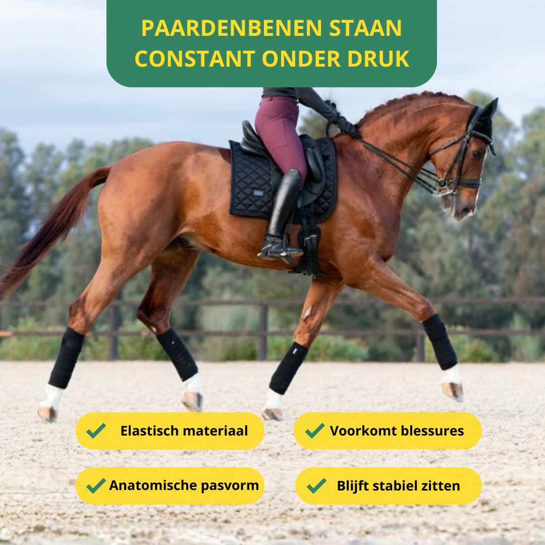 Equamity Bandage Set