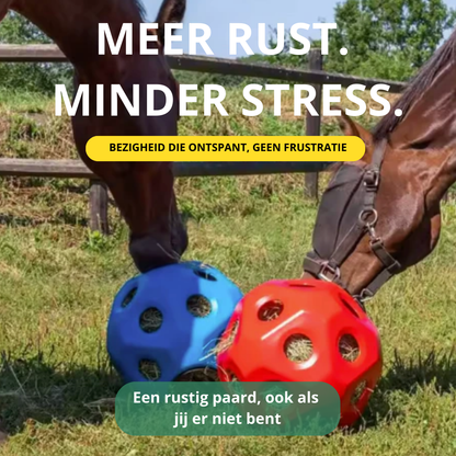 Equamity Slow Feeder Speelbal