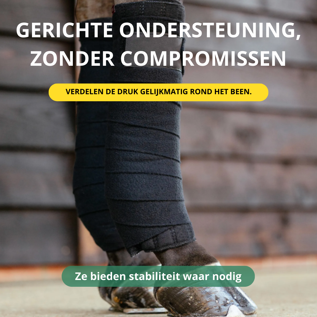 Equamity Bandage Set