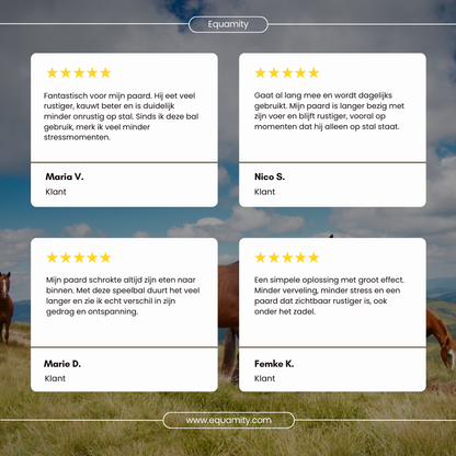 Equamity Slow Feeder Speelbal