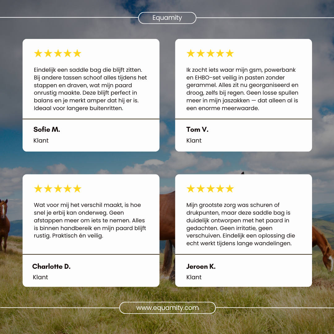 Equamity Trail Companion Saddle Bag