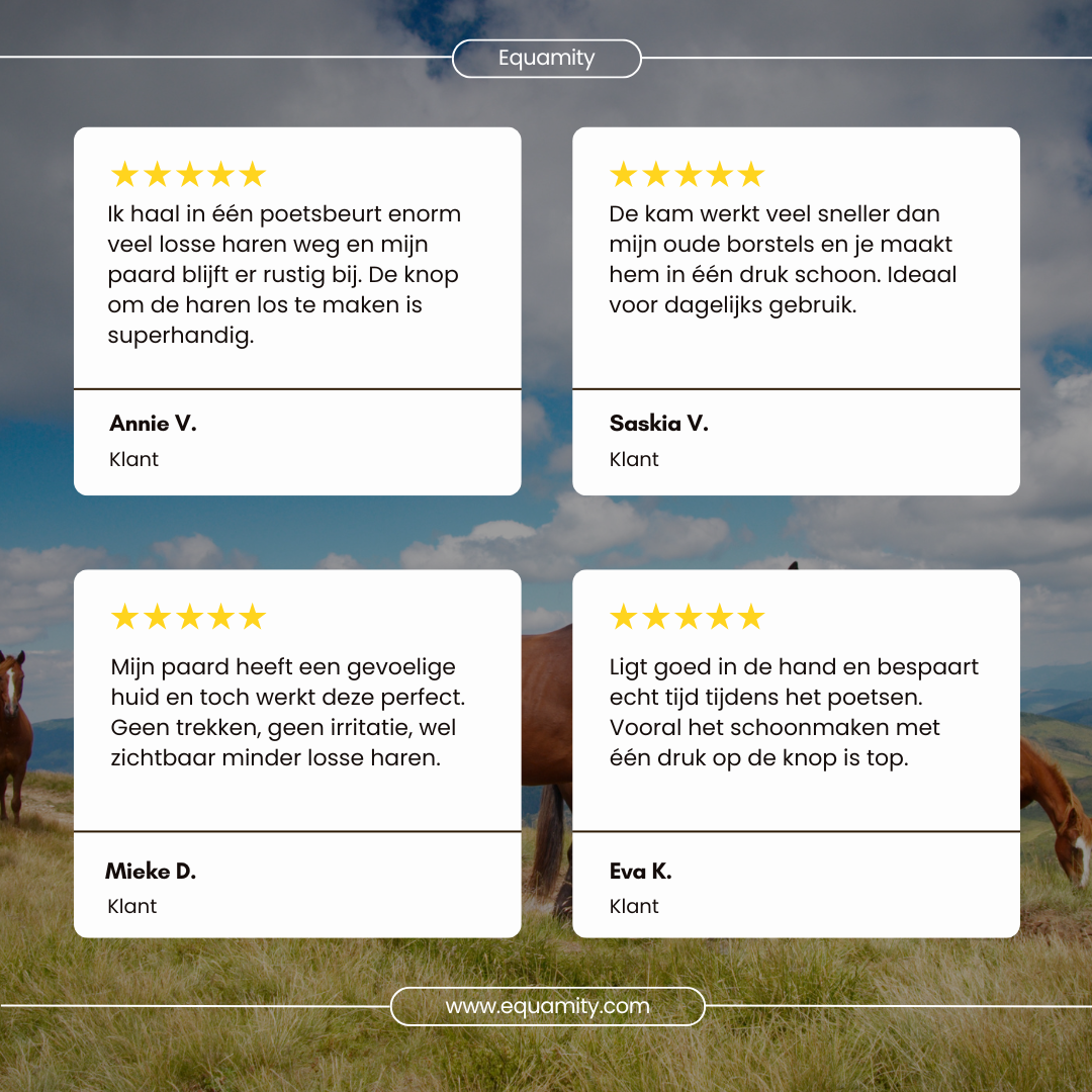 Equamity Hairclean Pro