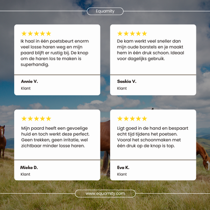 Equamity Hairclean Pro