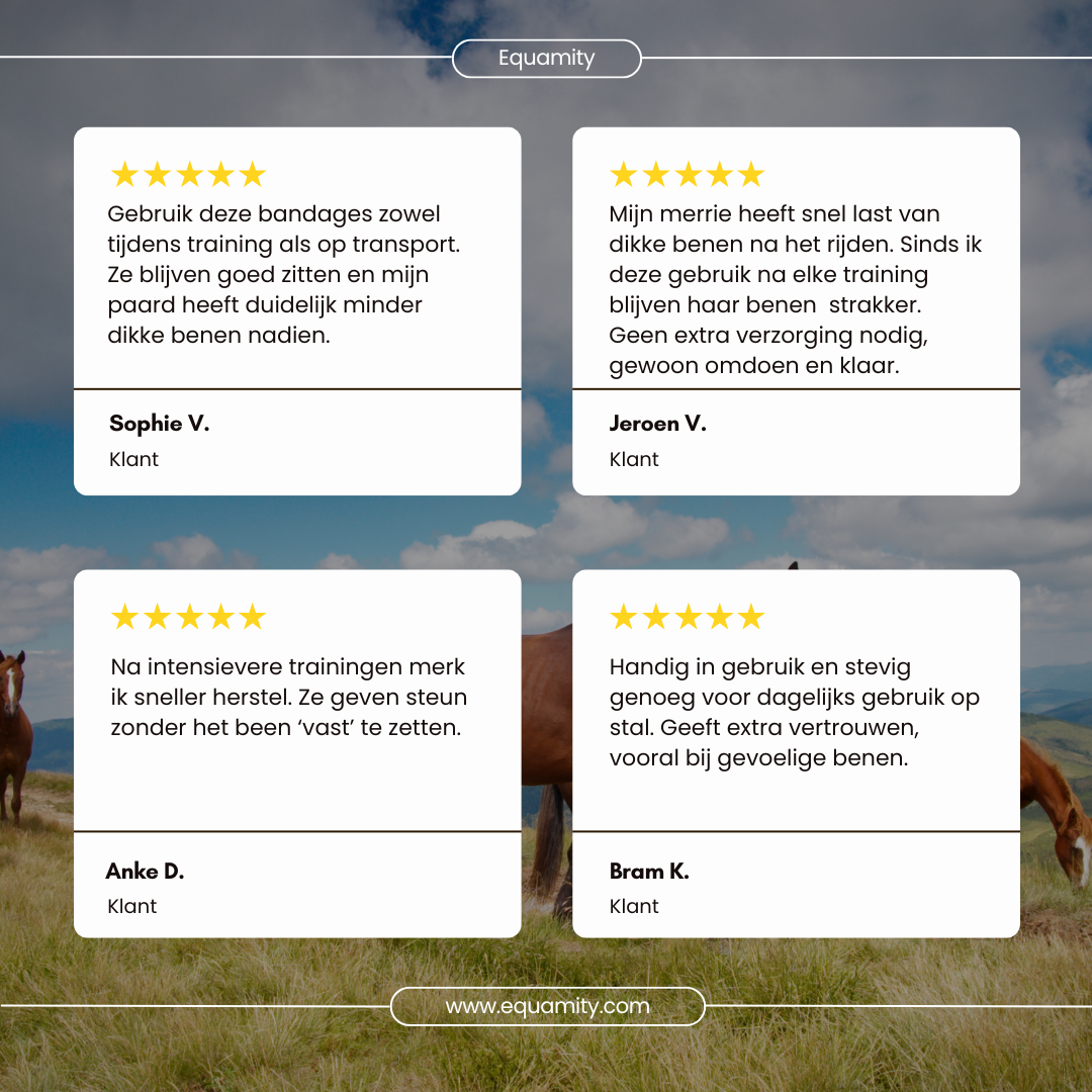 Equamity Bandage Set