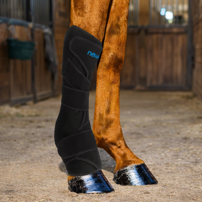 Equamity Cooling Recovery Beenbeschermers