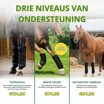 Equamity Cooling Recovery Beenbeschermers